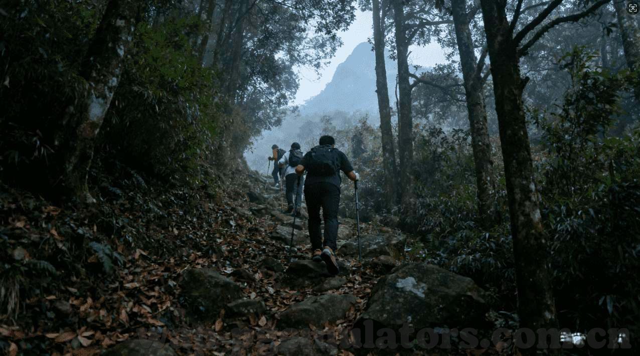ku游九州体育-游九州体育，领略运动的魅力，开拓生活的色彩