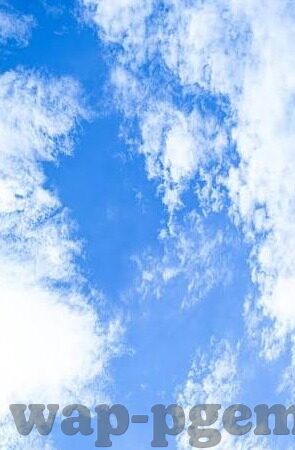 世界杯球衣商nb-世界杯球衣商，nb的创意与商业博弈